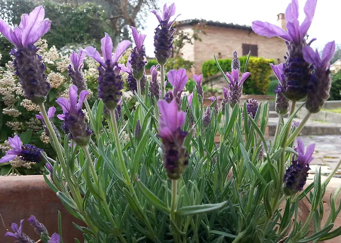 Le Meridiane 3* Siena