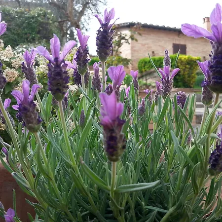 Le Meridiane 3* Siena