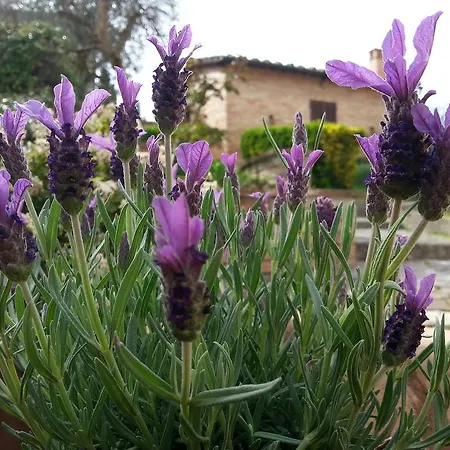 מלון דירות Le Meridiane